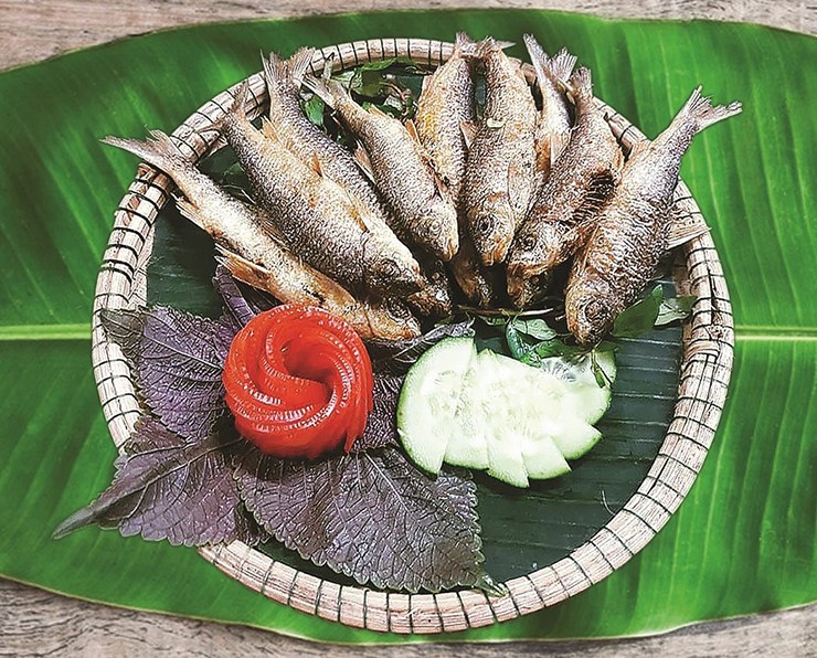 Vào ban đêm, cá niên di chuyển chậm hơn nên người dân hay chọn thời điểm này, rồi dùng đèn soi để đâm bắt.