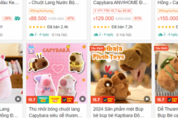 Bắt đúng trend gấu bông Capybara, người bán online bỏ túi gần 13 tỉ đồng