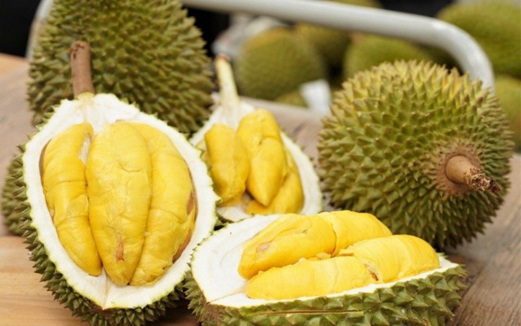 Sầu riêng được hái đúng ngày chín để đảm bảo chất lượng.&nbsp;