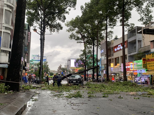 Cây xanh bật gốc, ngã đè lên ô tô giữa mưa gió TP.HCM