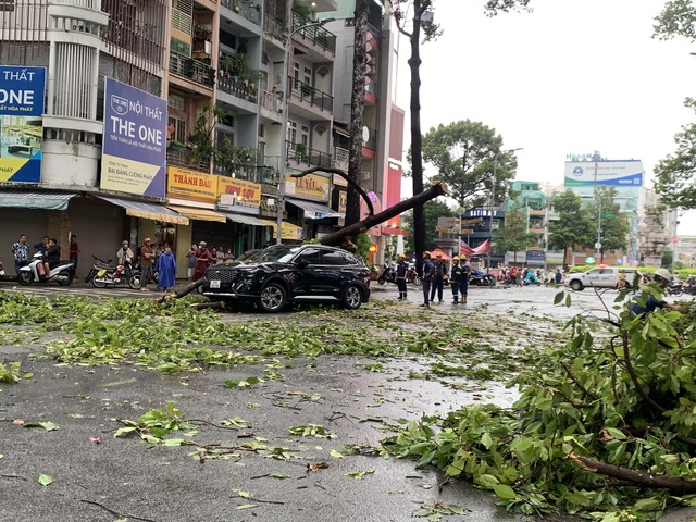 Cây xanh bật gốc, ngã đè lên ô tô giữa mưa gió TP.HCM