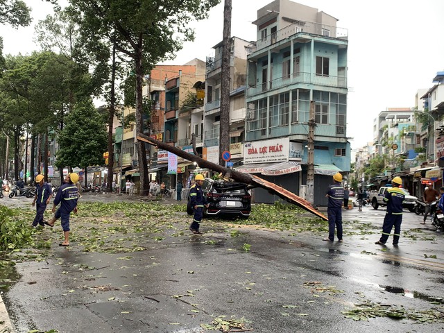 Cây xanh bật gốc, ngã đè lên ô tô giữa mưa gió TP.HCM