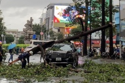 Cây xanh bật gốc, ngã đè lên ô tô giữa mưa gió TP.HCM