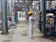Kinh doanh - Một cổ phiếu ngành hóa chất bật tăng gần gấp đôi từ đầu năm đẩy vốn hóa vượt nghìn tỷ