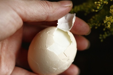 Sai lầm khiến trứng luộc khó bóc vỏ
