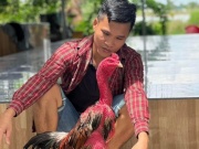 Thị trường - Tiêu dùng - Bỏ việc lương cao về quê nuôi “chiến kê”, 9x Hải Phòng thu hàng trăm triệu đồng/tháng