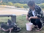 Đàn ông - Nam diễn viên nổi tiếng bỏ phố về quê, nuôi lợn và làm nông