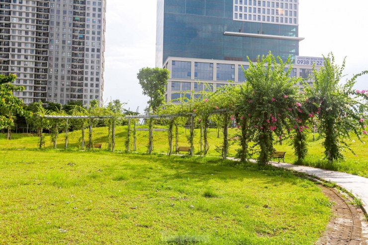 Khu vực thiết kế riêng dành cho người tập yoga.