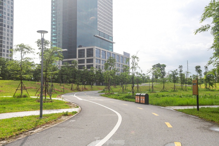 Vườn hoa, cây xanh tạo một khung cảnh lãng mạn.