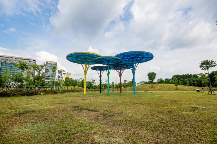 Nhiều khu vực được thiết kế phù hợp cho dã ngoại, cắm trại và vui chơi tập thể.