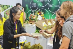 Thị trường - Tiêu dùng - Sầu riêng &quot;vua&quot; mất vị thế?