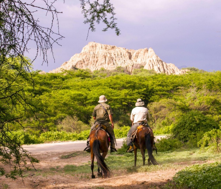 Vẻ đẹp thiên nhiên trên rừng dưới biển ở Peru - 10