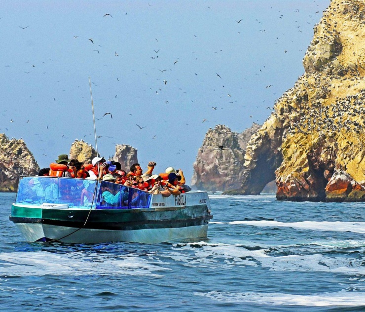 Vẻ đẹp thiên nhiên trên rừng dưới biển ở Peru - 9