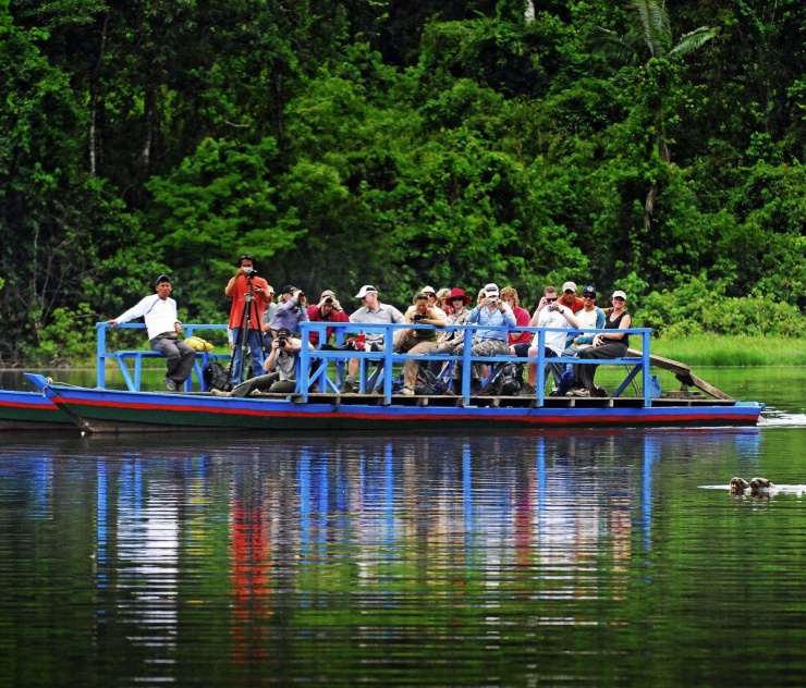Vẻ đẹp thiên nhiên trên rừng dưới biển ở Peru - 13