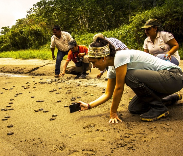 Vẻ đẹp thiên nhiên trên rừng dưới biển ở Peru - 12