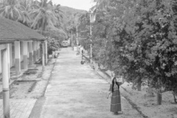 Du lịch - Du khách mê mẩn giàn hoa giấy ở miền Trung