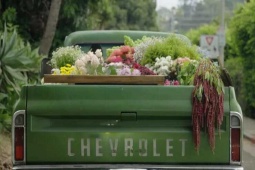 Kinh doanh - Bỏ công việc ổn định, cô gái tậu chiếc xe cũ bán thứ rực rỡ sắc màu, thu gần nửa tỷ một tháng