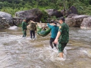 Tin tức trong ngày - Người đàn ông sống sót sau 4 ngày rơi xuống vực trong rừng sâu