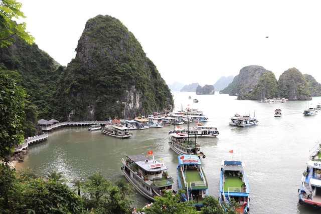 Quảng Ninh ứng phó cơn bão số 2: Tạm ngừng cấp phép tàu thuyền ra khơi