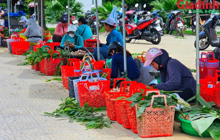 Theo các tiểu thương, năm nay nấm tràm được mùa và được cả giá.