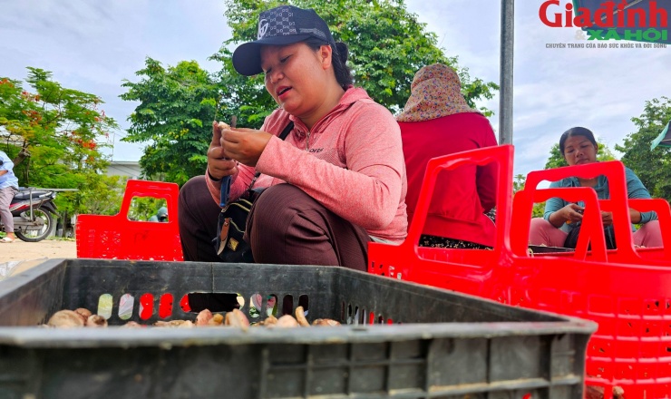 Khu bán nấm tràm - "lộc trời" 30.000- 60.000 đồng/kg tạo nên nơi mua bán nhộn nhịp bên cạnh di tích Huế - 10