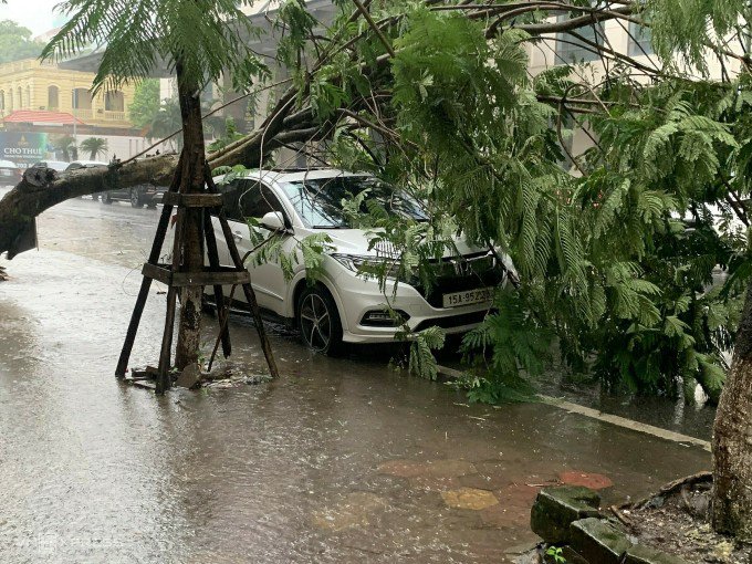 Bão Prapiroon suy yếu thành áp thấp nhiệt đới, gây mưa lớn tại miền Bắc