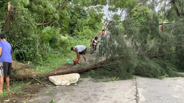 Bão số 2 cập bến Quảng Ninh, gây thiệt hại về tài sản