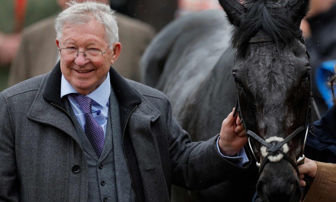 Sir Alex Ferguson mừng sau khi chú ngựa đua tên Monmiral của ông thắng nội dung Pertemps Hurdle tại Lễ hội đua ngựa Cheltenham hồi tháng 3/2024. Ảnh: Guardian