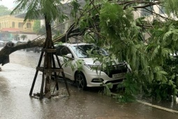 Bão đổ bộ Quảng Ninh, gây mưa diện rộng