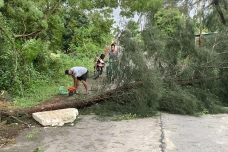 Bão số 2 đổ bộ Quảng Ninh, gây thiệt hại nghiêm trọng về tài sản