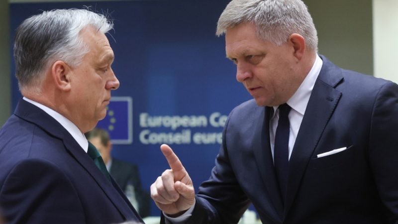 Thủ tướng Hungary Viktor Orban (trái) và người đồng cấp Slovakia Robert Fico. Ảnh: EPA - EFE