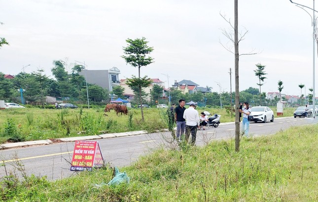 Huyện ngoại thành Hà Nội liên tục đấu giá đất thời gian gần đây. (Ảnh minh họa: Lập Đông)