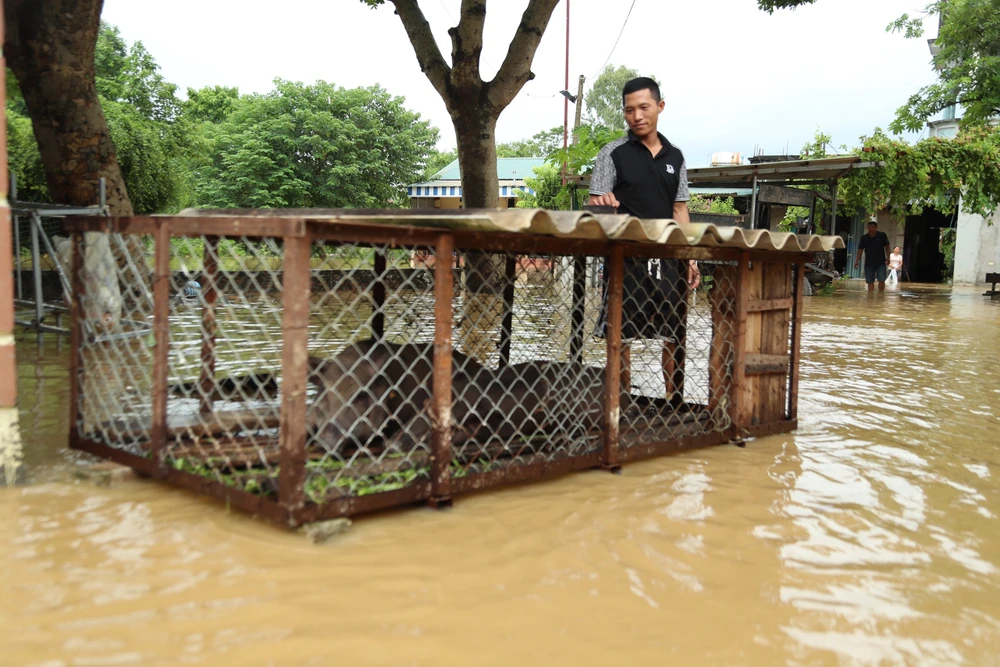 Lũ tràn đê sông Bùi: Nhà cửa ngập sâu, dân Chương Mỹ chạy lũ trong đêm