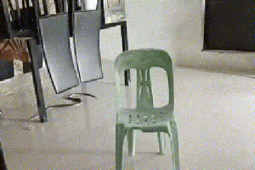 Media - Clip: Kinh hoàng rắn trườn vào nhà trong lúc lũ lụt