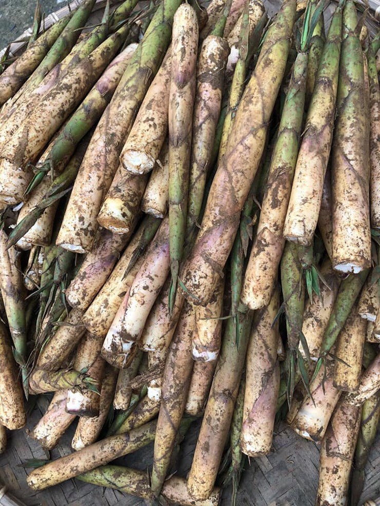 Đầu mùa, 1kg măng sặt có giá khoảng 80.000 đồng/kg, giữa mùa giá hạ nhiệt hơn.
