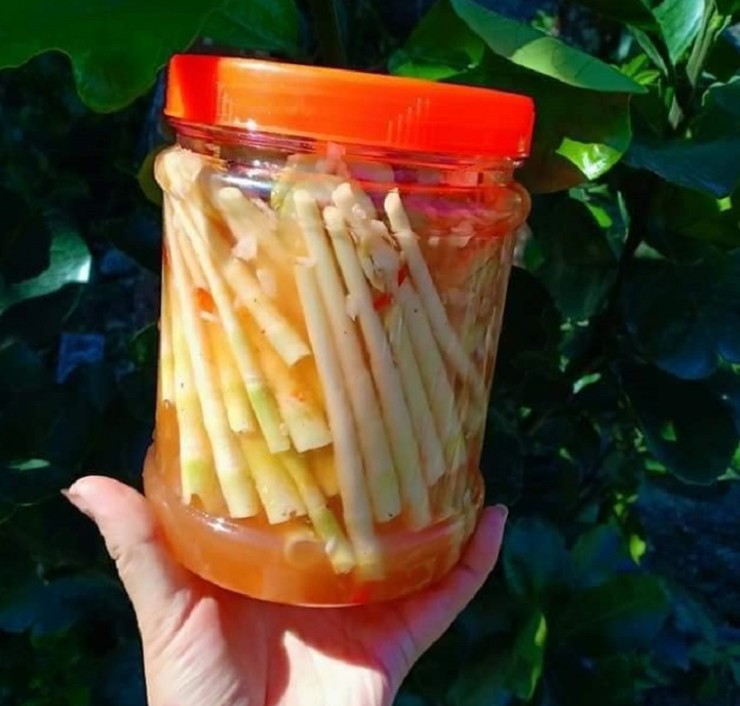 Mấy năm gần đây, măng sặt thành đặc sản ở thành phố, nhiều người tìm mua về thưởng thức.
