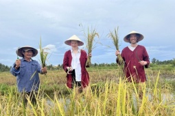 Du lịch - Du lịch trải nghiệm kiểu mới, khách Tây hào hứng xuống ruộng làm nông