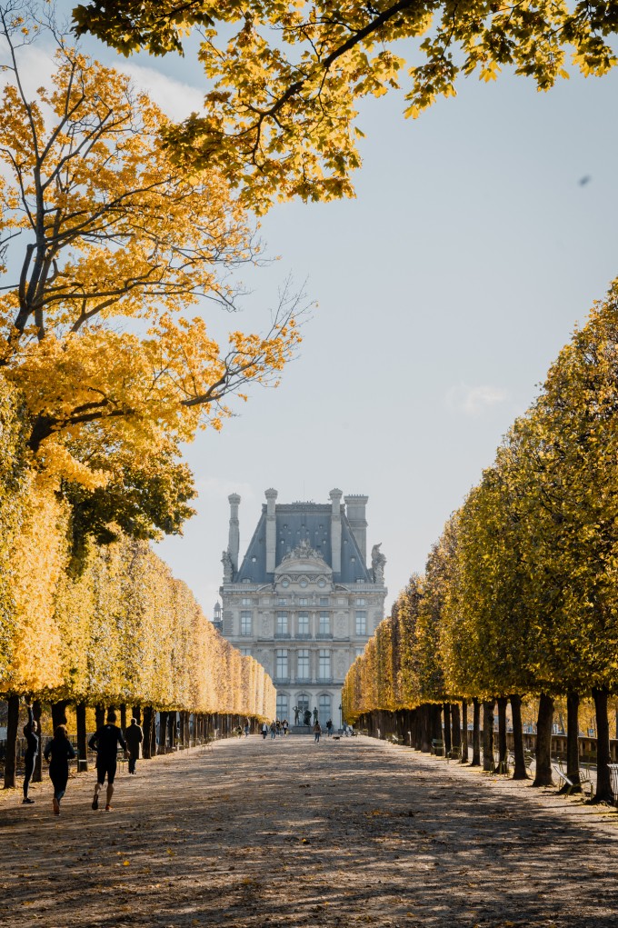 Jardin des Tuileries, vườn nằm giữa lòng thành phố Paris. Ảnh: Nguyễn Anh Lukas