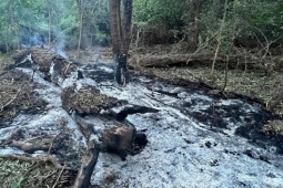 Thế giới - Phản ứng của NATO sau khi UAV nghi của Nga rơi xuống lãnh thổ nước thành viên