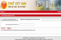 Tổng cục Thuế bị giả mạo website