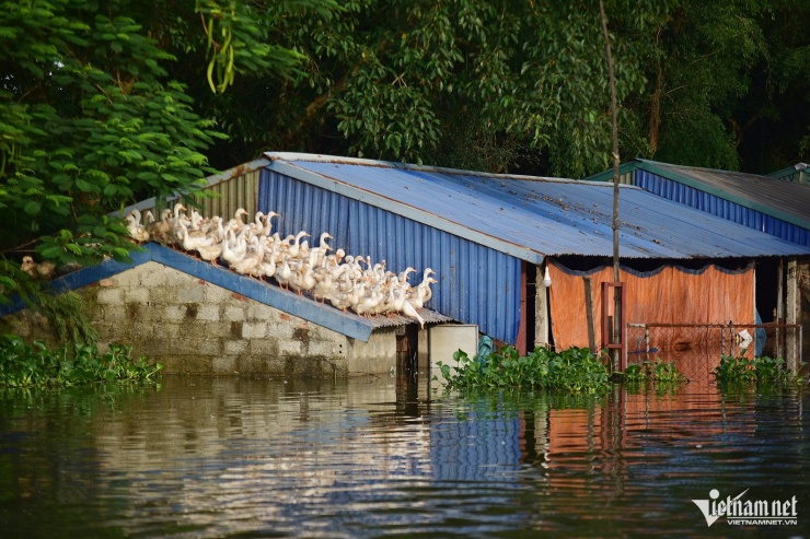 Người dân Hà Nội phải 