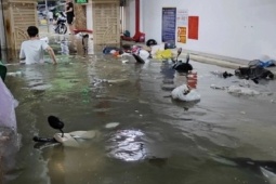 Tin tức trong ngày - Vụ hơn 60 chiếc xe bị nước nhấn chìm trong chung cư, ai sẽ phải bồi thường?