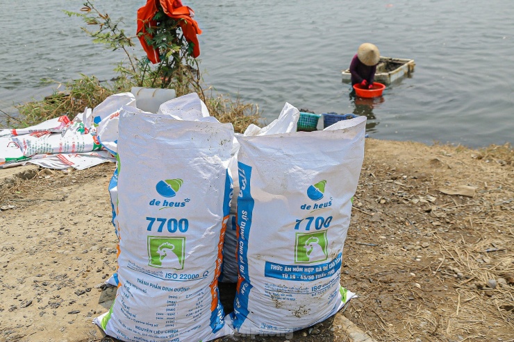 Những bao sìa đầy ắp là thành quả của người dân trong một buổi sáng làm việc vất vả.