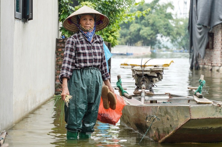 Làng thành &#39;ốc đảo&#39;, người dân nấu cơm trên biển nước - 8