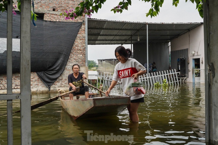 Ngập sâu cô lập 