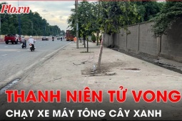 Media - Đi dự tiệc về, chạy xe máy tông cây xanh, thanh niên tử vong