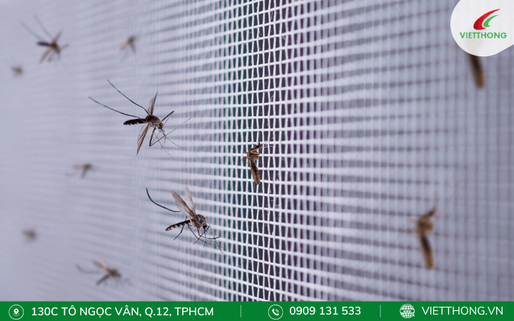 Cùng Việt Thống đẩy lùi sốt xuất huyết, bảo vệ tương lai con em - 1