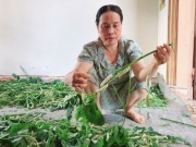 Thị trường - Tiêu dùng - Nuôi loại côn trùng “lúc nhúc đầy gai” lấy thịt, thu lãi gấp 10 lần chỉ chưa đầy một tháng