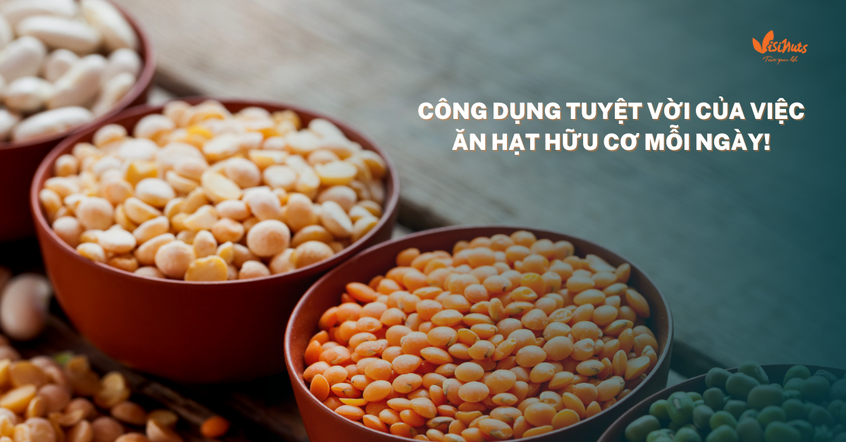 Hạt dinh dưỡng có giá trị rất lớn đối với sức khỏe con người