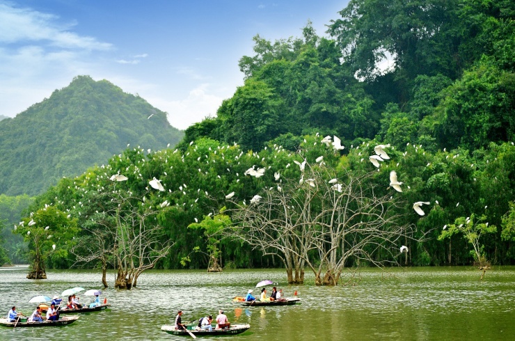 Đến Thung Nham, ngắm hang động kỳ bí, vườn chim lớn nhất miền Bắc - 1